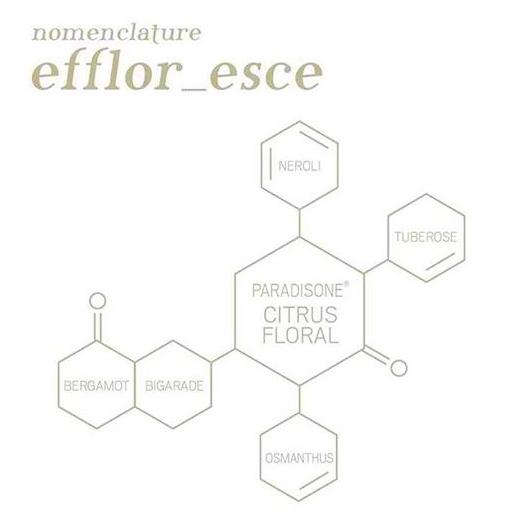 nomenclature efflor esce 3