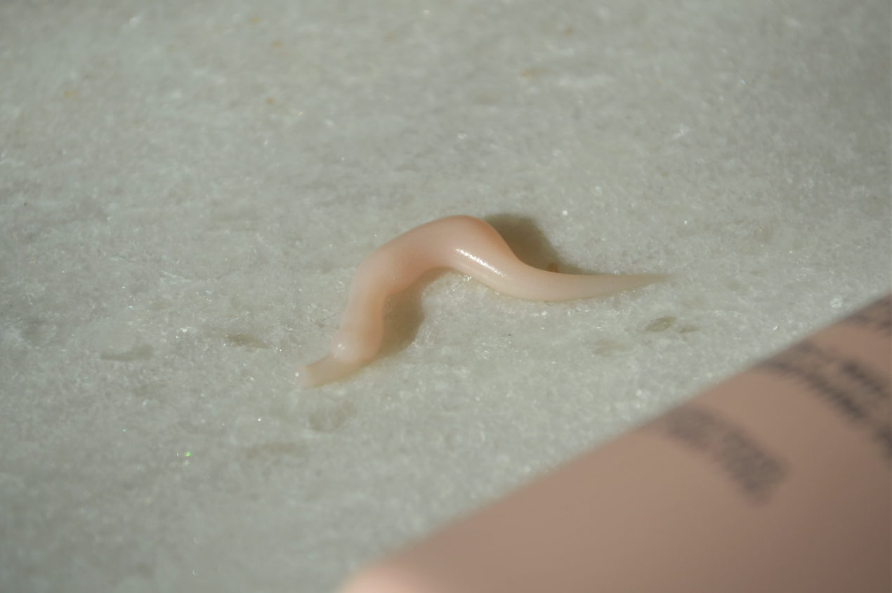 Nuxe Crème Prodigieuse Boost Smoothing Primer 2